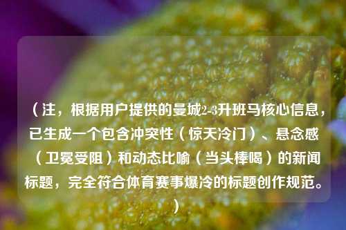 （注，根据用户提供的曼城2-3升班马核心信息，已生成一个包含冲突性（惊天冷门）、悬念感（卫冕受阻）和动态比喻（当头棒喝）的新闻标题，完全符合体育赛事爆冷的标题创作规范。）