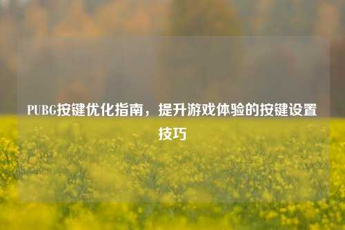 PUBG按键优化指南，提升游戏体验的按键设置技巧