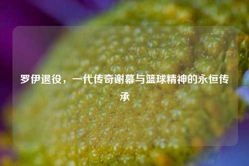 罗伊退役，一代传奇谢幕与篮球精神的永恒传承
