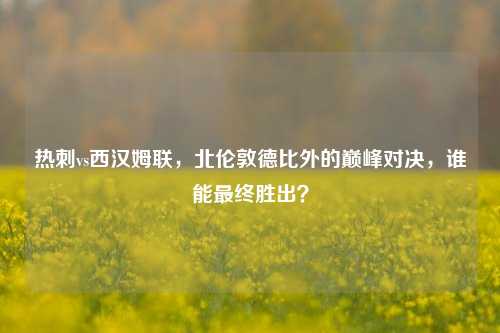 热刺vs西汉姆联，北伦敦德比外的巅峰对决，谁能最终胜出？