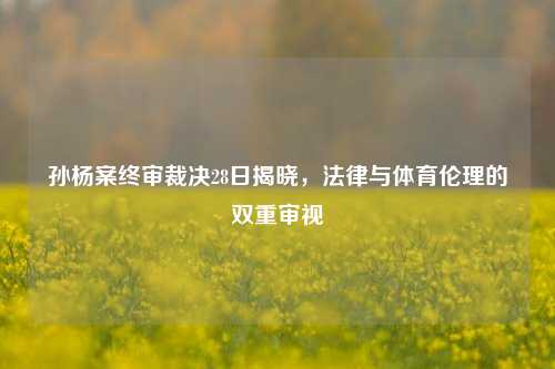 孙杨案终审裁决28日揭晓，法律与体育伦理的双重审视