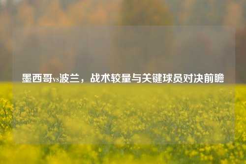 墨西哥vs波兰，战术较量与关键球员对决前瞻