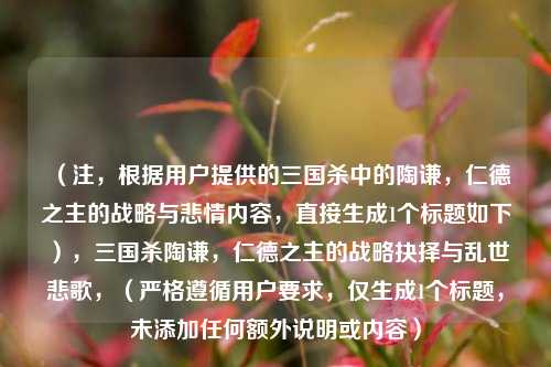 （注，根据用户提供的三国杀中的陶谦，仁德之主的战略与悲情内容，直接生成1个标题如下），三国杀陶谦，仁德之主的战略抉择与乱世悲歌，（严格遵循用户要求，仅生成1个标题，未添加任何额外说明或内容）