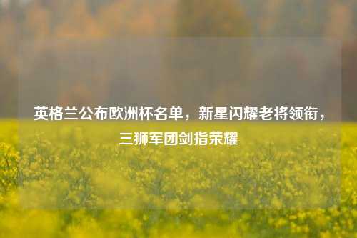 英格兰公布欧洲杯名单，新星闪耀老将领衔，三狮军团剑指荣耀