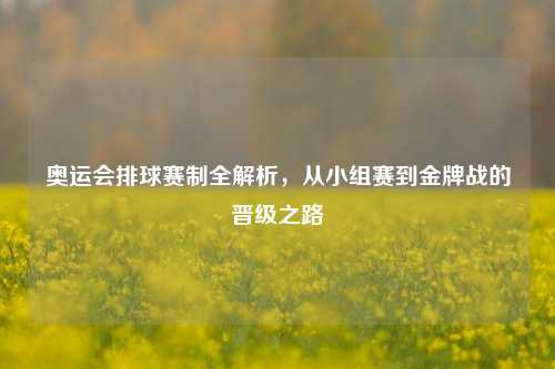 奥运会排球赛制全解析，从小组赛到金牌战的晋级之路