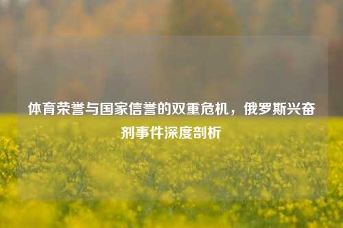 体育荣誉与国家信誉的双重危机，俄罗斯兴奋剂事件深度剖析