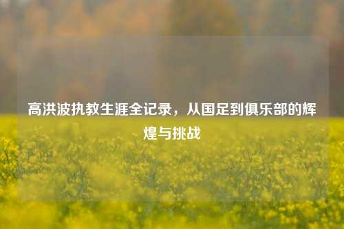 高洪波执教生涯全记录，从国足到俱乐部的辉煌与挑战