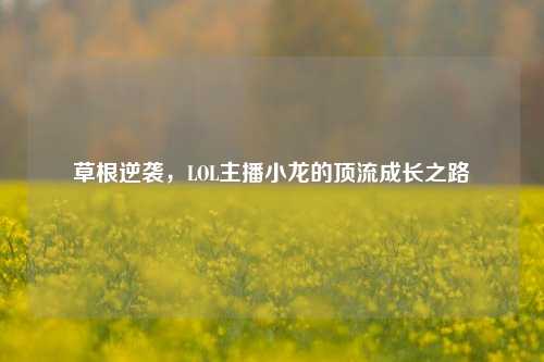 草根逆袭，LOL主播小龙的顶流成长之路