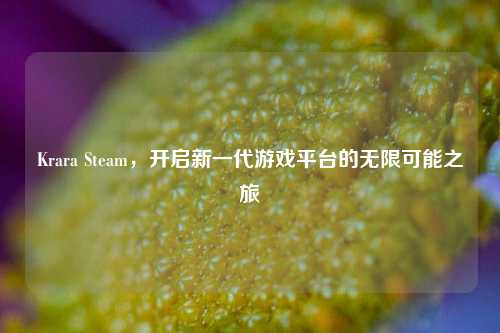 Krara Steam，开启新一代游戏平台的无限可能之旅