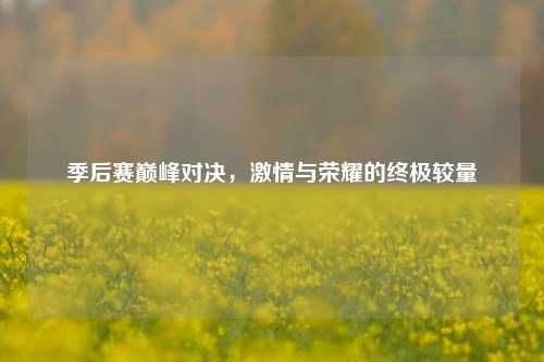 季后赛巅峰对决,激情与荣耀的终极较量