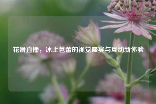 花滑直播，冰上芭蕾的视觉盛宴与互动新体验