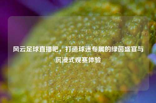 风云足球直播吧，打造球迷专属的绿茵盛宴与沉浸式观赛体验