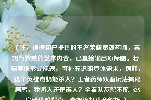 （注，根据用户提供的王者荣耀灵魂药师，毒奶与救赎的艺术内容，已直接输出原标题。若需其他形式标题，可补充说明具体需求，例如，  这个英雄毒奶能杀人？王者药师双面玩法揭秘  扁鹊，我奶人还是毒人？全看队友配不配  S35扁鹊进阶指南，毒奶流打法全解析 ）