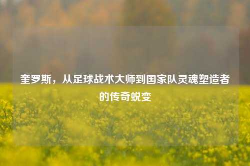 奎罗斯，从足球战术大师到国家队灵魂塑造者的传奇蜕变