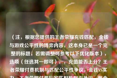 （注，根据您提供的王者荣耀充钱匹配，金钱与游戏公平性的博弈内容，这本身已是一个完整的标题，若需调整可参考以下优化版本），选项（任选其一即可），，充值能否上分？王者荣耀付费机制与匹配公平性争议，金钱VS实力，王者荣耀付费玩家匹配机制引争议，氪金真能改变匹配？透视MOBA游戏的付费平衡困局，（您最初提供的标题已非常精准，若需直接使用原标题也完全可行）