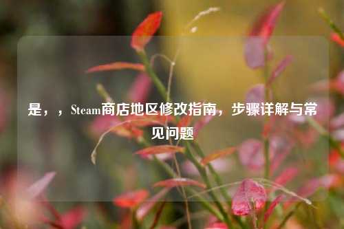 是，，Steam商店地区修改指南，步骤详解与常见问题