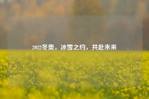 2022冬奥，冰雪之约，共赴未来