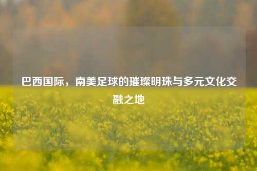 巴西国际，南美足球的璀璨明珠与多元文化交融之地