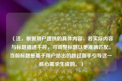 （注，根据用户提供的具体内容，若实际内容与标题描述不符，可调整标题以更准确匹配。当前标题是基于用户给出的跳过新手引导这一核心需求生成的。）