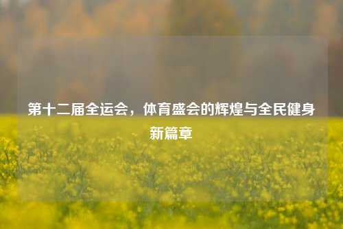 第十二届全运会，体育盛会的辉煌与全民健身新篇章