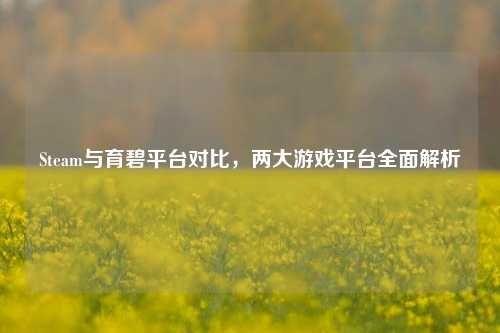 Steam与育碧平台对比，两大游戏平台全面解析