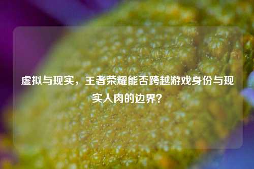 虚拟与现实，王者荣耀能否跨越游戏身份与现实人肉的边界？