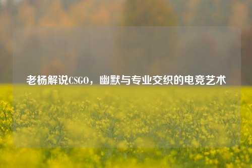 老杨解说CSGO，幽默与专业交织的电竞艺术