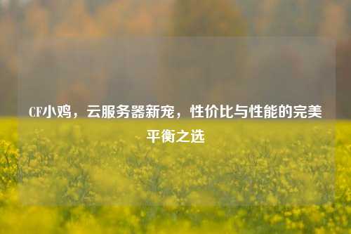CF小鸡，云服务器新宠，性价比与性能的完美平衡之选