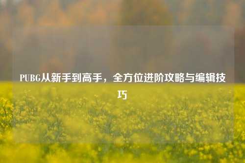 PUBG从新手到高手，全方位进阶攻略与编辑技巧