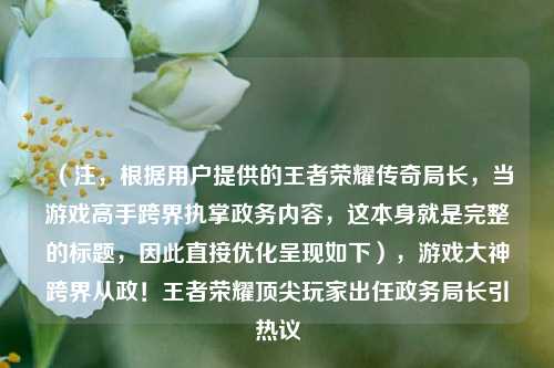（注，根据用户提供的王者荣耀传奇局长，当游戏高手跨界执掌政务内容，这本身就是完整的标题，因此直接优化呈现如下），游戏大神跨界从政！王者荣耀顶尖玩家出任政务局长引热议