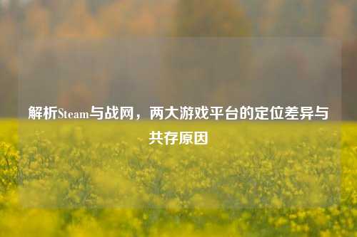 解析Steam与战网，两大游戏平台的定位差异与共存原因