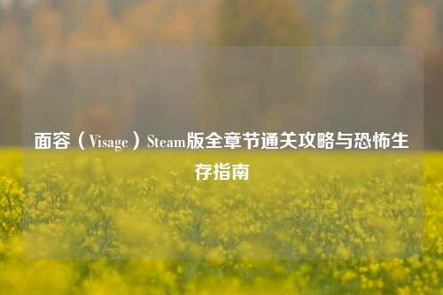 面容（Visage）Steam版全章节通关攻略与恐怖生存指南