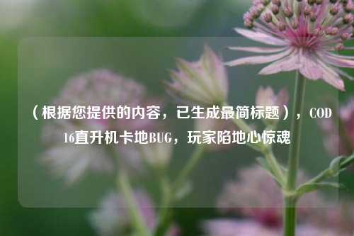 （根据您提供的内容，已生成最简标题），COD16直升机卡地BUG，玩家陷地心惊魂