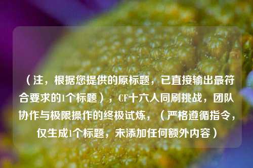 （注，根据您提供的原标题，已直接输出最符合要求的1个标题），CF十六人同刷挑战，团队协作与极限操作的终极试炼，（严格遵循指令，仅生成1个标题，未添加任何额外内容）
