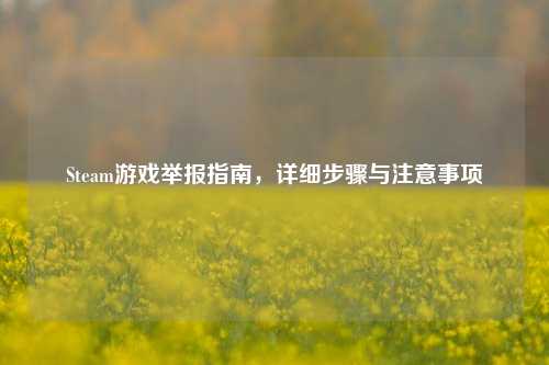 Steam游戏举报指南，详细步骤与注意事项