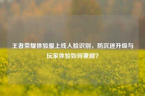 王者荣耀体验服上线人脸识别，防沉迷升级与玩家体验如何兼顾？