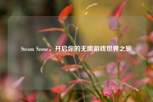 Steam Szone，开启你的无限游戏世界之旅