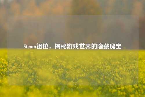 Steam祖拉，揭秘游戏世界的隐藏瑰宝
