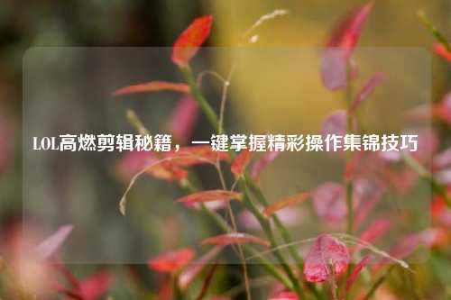 LOL高燃剪辑秘籍,一键掌握精彩操作集锦技巧