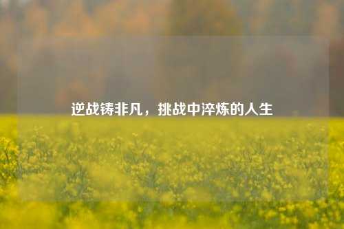 逆战铸非凡,挑战中淬炼的人生