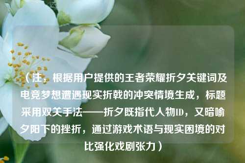 （注，根据用户提供的王者荣耀折夕关键词及电竞梦想遭遇现实折戟的冲突情境生成，标题采用双关手法——折夕既指代人物ID，又暗喻夕阳下的挫折，通过游戏术语与现实困境的对比强化戏剧张力）