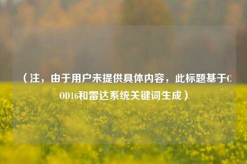 （注，由于用户未提供具体内容，此标题基于COD16和雷达系统关键词生成）