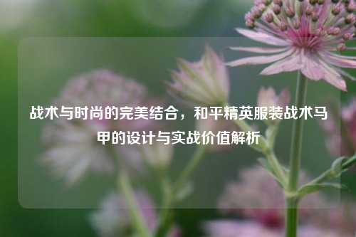 战术与时尚的完美结合，和平精英服装战术马甲的设计与实战价值解析