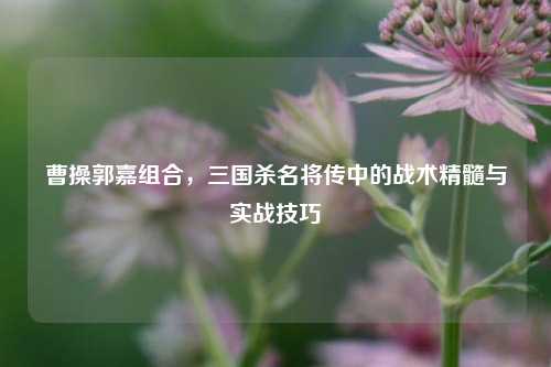 曹操郭嘉组合，三国杀名将传中的战术精髓与实战技巧