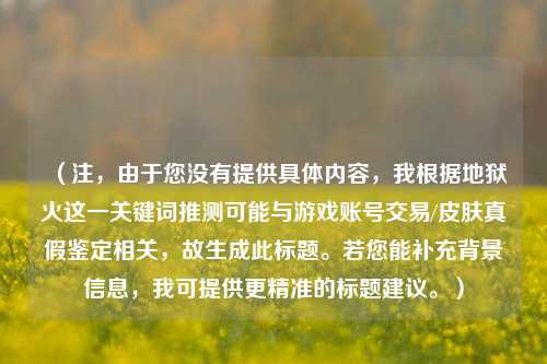 （注，由于您没有提供具体内容，我根据地狱火这一关键词推测可能与游戏账号交易/皮肤真假鉴定相关，故生成此标题。若您能补充背景信息，我可提供更精准的标题建议。）