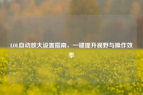 LOL自动放大设置指南，一键提升视野与操作效率