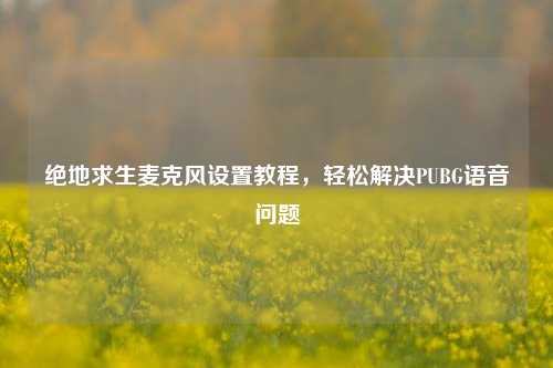 绝地求生麦克风设置教程，轻松解决PUBG语音问题