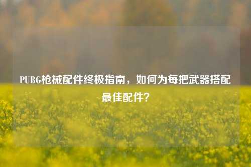 PUBG枪械配件终极指南，如何为每把武器搭配最佳配件？