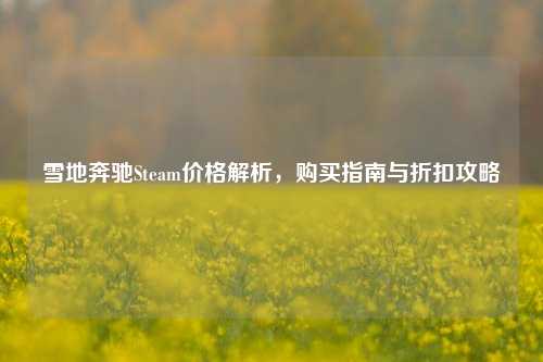 雪地奔驰Steam价格解析，购买指南与折扣攻略