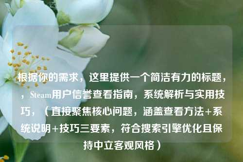 根据你的需求，这里提供一个简洁有力的标题，，Steam用户信誉查看指南，系统解析与实用技巧，（直接聚焦核心问题，涵盖查看方法+系统说明+技巧三要素，符合搜索引擎优化且保持中立客观风格）